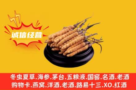 重庆开州区回收冬虫夏草